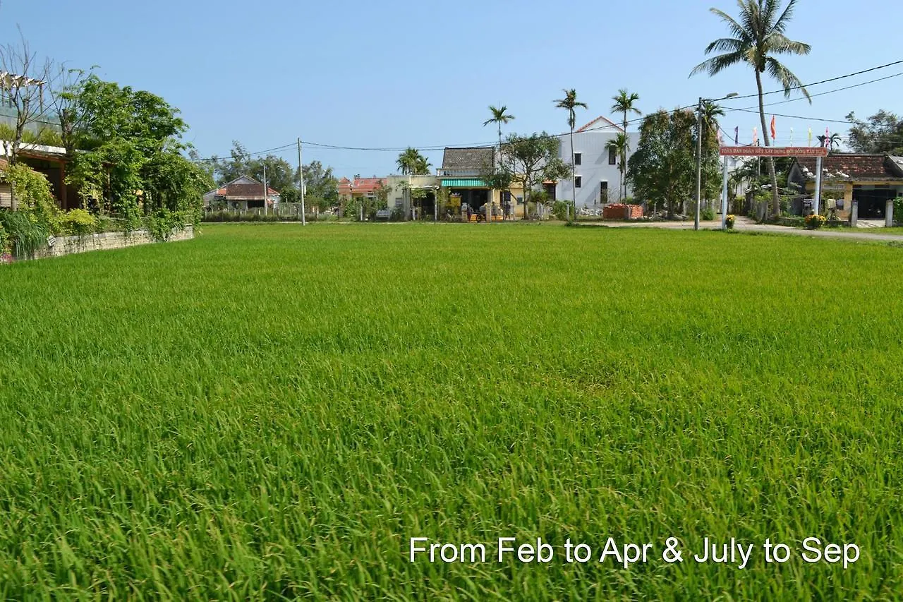 Hoi An Chic - Green Retreat