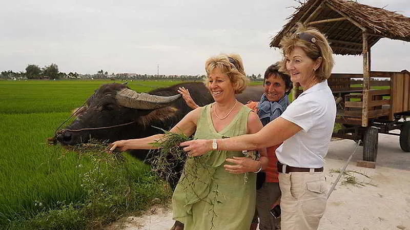 Hoi An Chic - Green Retreat Hoi An